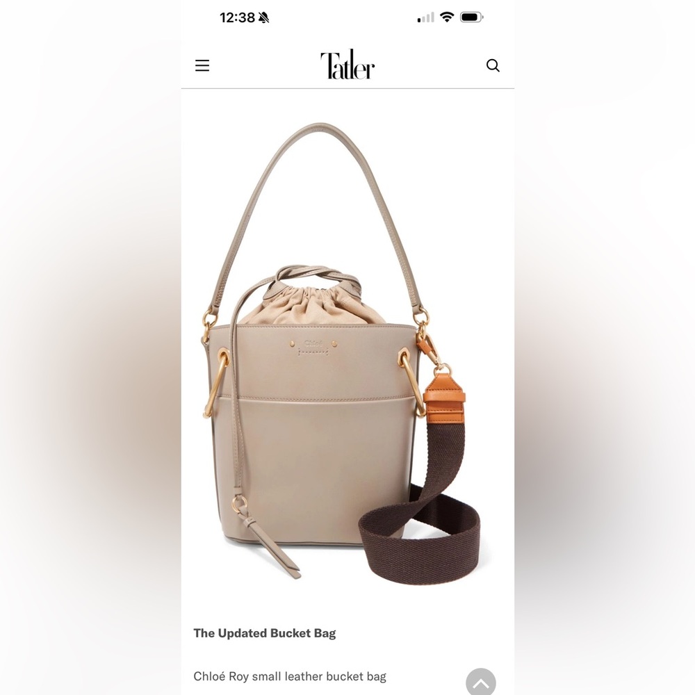 Chloe Roy Small Leather Bucket Bag